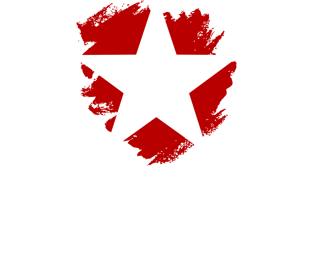 Black Star Sailing – Branding